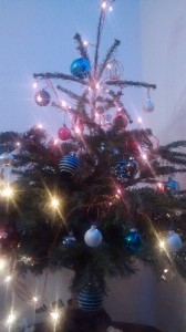 IMG_20141218_221038786